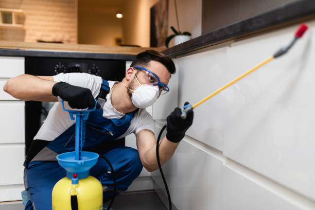 Best Bed Bug Extermination  in Martinsvle, IL