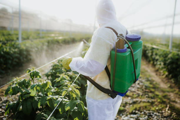 Wildlife Control Services in Martinsville, IL